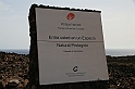 Kanary_2010 059